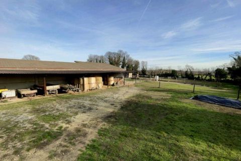 Landejendom i Cavriana, Mantua, Cavriana - € 420.000 | Ref: 2750 - foto 28