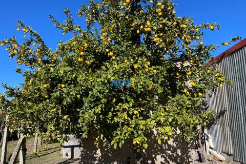 Terra a Alcains, Castelo Branco, Alcains - € 70.000 | Ref: 124046 - foto 7