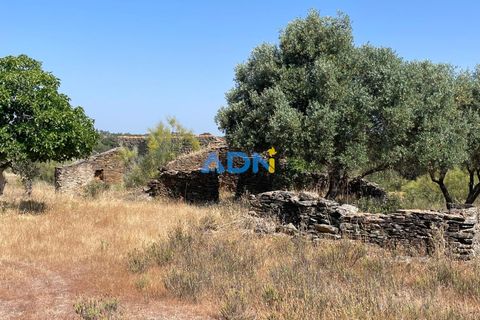 Helårsgrund i Rosmaninhal, Castelo Branco, Rosmaninhal - € 30.000 | Ref: 125100 - foto 4