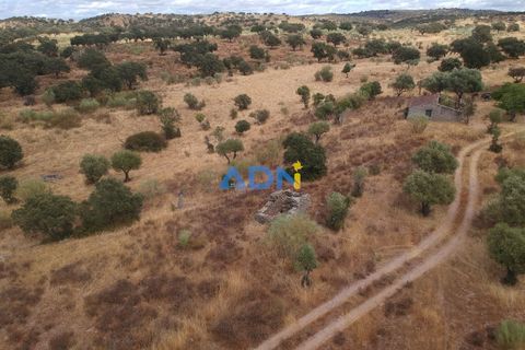 Helårsgrund i Rosmaninhal, Castelo Branco, Rosmaninhal - € 30.000 | Ref: 125100 - foto 5
