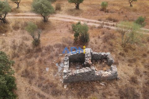 Helårsgrund i Rosmaninhal, Castelo Branco, Rosmaninhal - € 30.000 | Ref: 125100 - foto 6