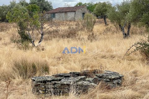 Helårsgrund i Rosmaninhal, Castelo Branco, Rosmaninhal - € 30.000 | Ref: 125100 - foto 2