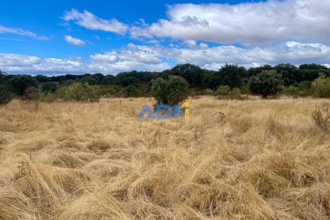 Helårsgrund i Rosmaninhal, Castelo Branco, Rosmaninhal - € 30.000 | Ref: 125100 - foto 8