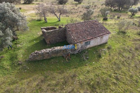 Helårsgrund i Rosmaninhal, Castelo Branco, Rosmaninhal - € 30.000 | Ref: 125100 - foto 1
