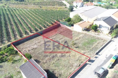 Helårsgrund i Bombarral, Leiria, Bombarral - € 72.000 | Ref: 130250235 - foto 1