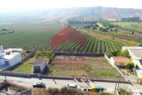 Helårsgrund i Bombarral, Leiria, Bombarral - € 72.000 | Ref: 130250235 - foto 2