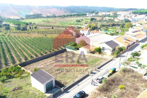 Helårsgrund i Bombarral, Leiria, Bombarral - € 72.000 | Ref: 130250235 - foto 3