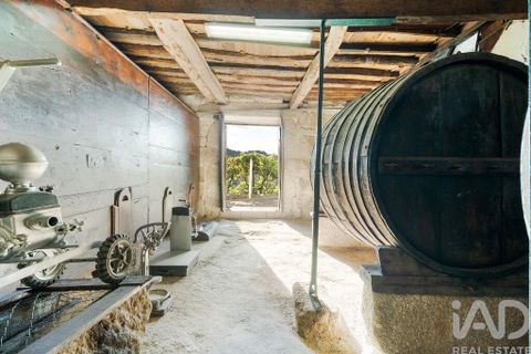 Farm i Resende, Viseu, Resende - € 450.000 | Ref: 678552 - foto 30