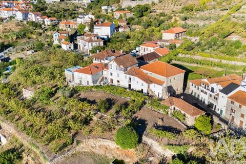Farm i Resende, Viseu, Resende - € 450.000 | Ref: 678552 - foto 38