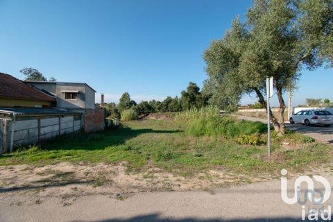 Helårsgrund i Leiria, Leiria, Leiria - € 50.000 | Ref: 716296 - foto 1
