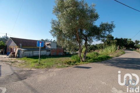 Helårsgrund i Leiria, Leiria, Leiria - € 50.000 | Ref: 716296 - foto 2