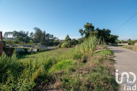 Helårsgrund i Leiria, Leiria, Leiria - € 50.000 | Ref: 716296 - foto 3