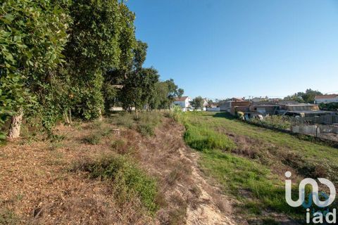 Helårsgrund i Leiria, Leiria, Leiria - € 50.000 | Ref: 716296 - foto 4