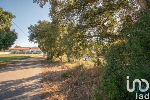 Helårsgrund i Leiria, Leiria, Leiria - € 50.000 | Ref: 716296 - foto 5