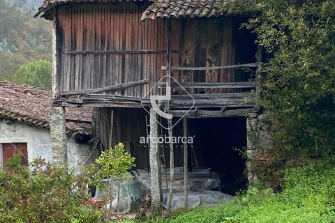 Byhus i Ponte da Barca, Viana do Castelo, Ponte da Barca - € 240.000 | Ref: AV6416 - foto 5