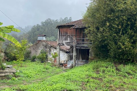 Byhus i Ponte da Barca, Viana do Castelo, Ponte da Barca - € 240.000 | Ref: AV6416 - foto 9