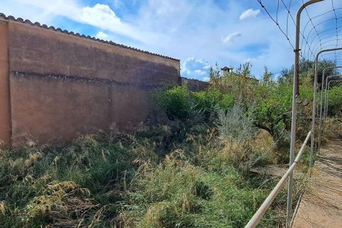 Villa a Lloseta, Mallorca, Lloseta - € 299.500 | Ref: CA0037 - foto 15