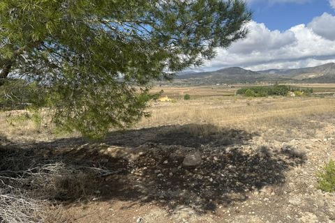 Terra a Monovar, Alicante, Monovar - € 12.000 | Ref: CC0644 - foto 7