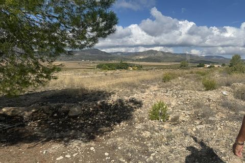 Terra a Monovar, Alicante, Monovar - € 12.000 | Ref: CC0644 - foto 5
