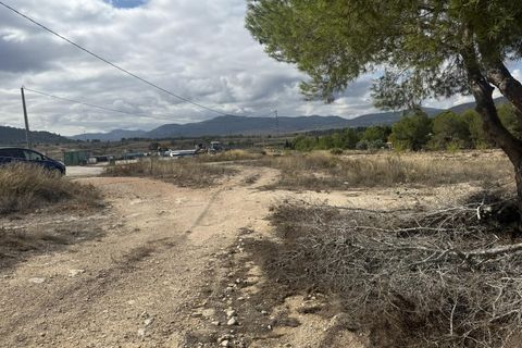 Terra a Monovar, Alicante, Monovar - € 12.000 | Ref: CC0644 - foto 6