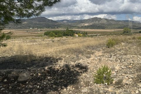 Terra a Monovar, Alicante, Monovar - € 12.000 | Ref: CC0644 - foto 4