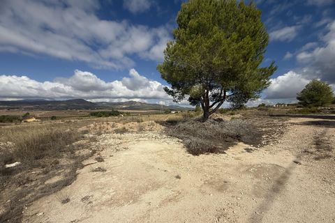 Terra a Monovar, Alicante, Monovar - € 12.000 | Ref: CC0644 - foto 2