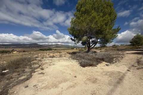 Terra a Monovar, Alicante, Monovar - € 12.000 | Ref: CC0644 - foto 3