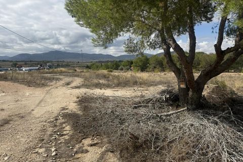 Terra a Monovar, Alicante, Monovar - € 12.000 | Ref: CC0644 - foto 8