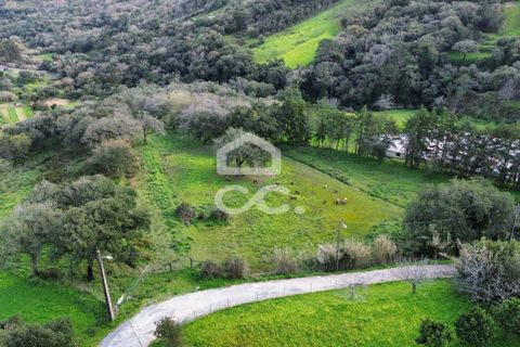 Helårsgrund i Loures, Lisbon, Loures - € 239.000 | Ref: 409/T/00011 - foto 5
