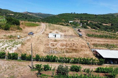 Helårsgrund i Loures, Lisbon, Loures - € 77.000 | Ref: 409/T/00016 - foto 6