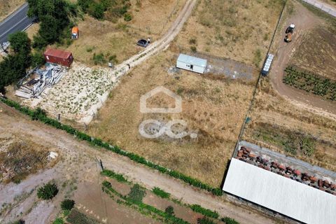 Helårsgrund i Loures, Lisbon, Loures - € 77.000 | Ref: 409/T/00016 - foto 8