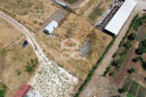 Helårsgrund i Loures, Lisbon, Loures - € 77.000 | Ref: 409/T/00016 - foto 9