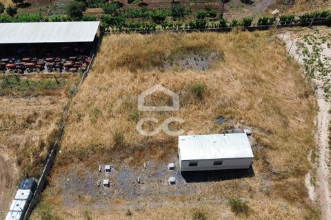 Helårsgrund i Loures, Lisbon, Loures - € 77.000 | Ref: 409/T/00016 - foto 11