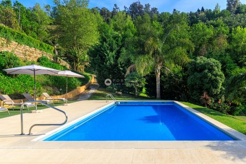 Landejendom i Cinfaes, Viseu, Cinfaes - € 1.100.000 | Ref: Q-2501 - foto 28
