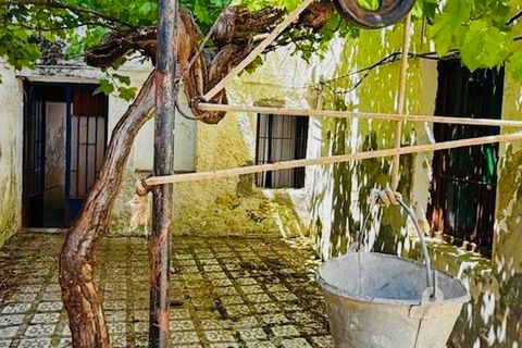 Byhus i Alfarnate, Malaga, Alfarnate - € 105.000 | Ref: R5118040 - foto 29