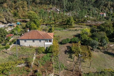 Farm i Amares, Braga, Amares - € 600.000 | Ref: 212084 - foto 2