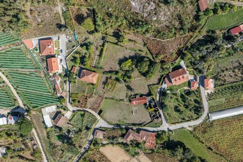 Farm i Amares, Braga, Amares - € 600.000 | Ref: 212084 - foto 4