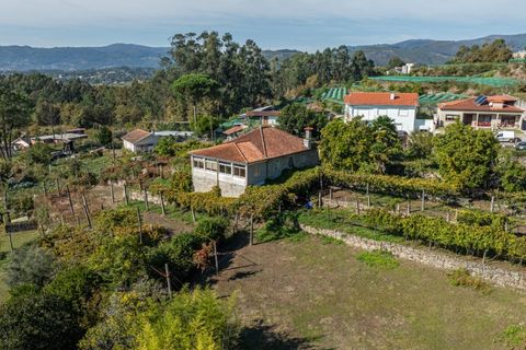 Farm i Amares, Braga, Amares - € 600.000 | Ref: 212084 - foto 5