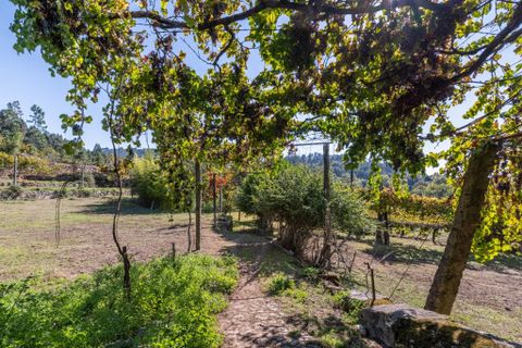 Farm i Amares, Braga, Amares - € 600.000 | Ref: 212084 - foto 22