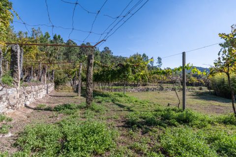 Farm i Amares, Braga, Amares - € 600.000 | Ref: 212084 - foto 24
