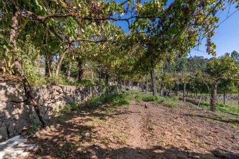 Farm i Amares, Braga, Amares - € 600.000 | Ref: 212084 - foto 25