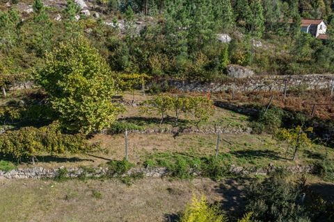 Farm i Amares, Braga, Amares - € 600.000 | Ref: 212084 - foto 29