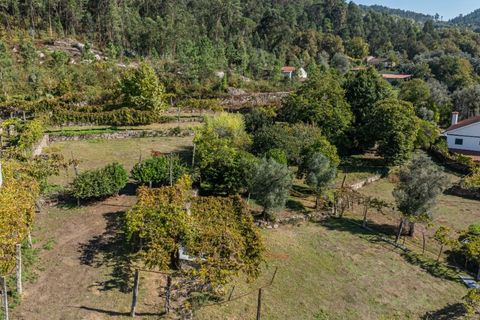 Farm i Amares, Braga, Amares - € 600.000 | Ref: 212084 - foto 32