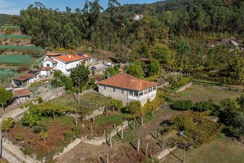 Farm i Amares, Braga, Amares - € 600.000 | Ref: 212084 - foto 35