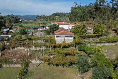 Farm i Amares, Braga, Amares - € 600.000 | Ref: 212084 - foto 39