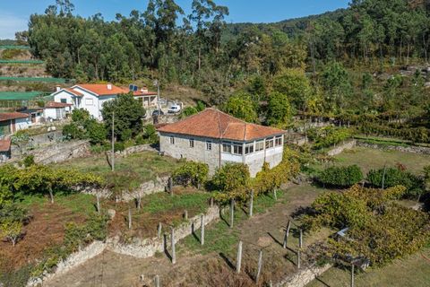 Farm i Amares, Braga, Amares - € 600.000 | Ref: 212084 - foto 40