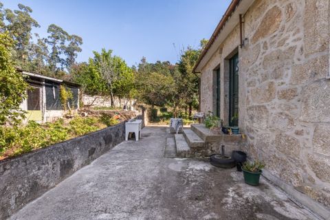 Farm i Amares, Braga, Amares - € 600.000 | Ref: 212084 - foto 42