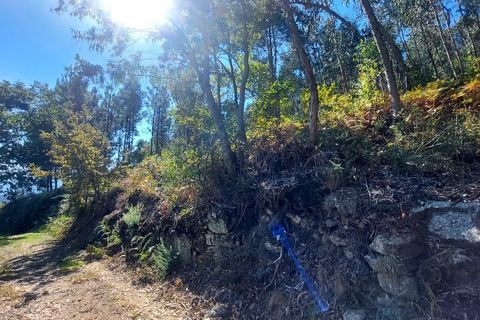 Helårsgrund i Amares, Braga, Amares - € 25.000 | Ref: 212085 - foto 3