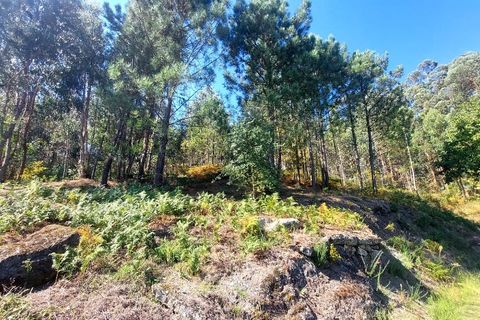 Helårsgrund i Amares, Braga, Amares - € 25.000 | Ref: 212085 - foto 4