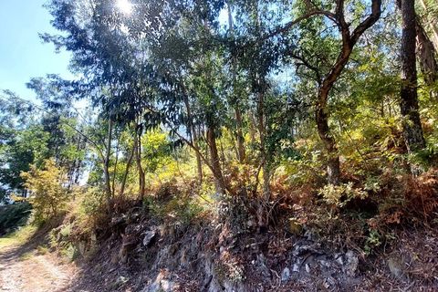 Helårsgrund i Amares, Braga, Amares - € 25.000 | Ref: 212085 - foto 5